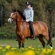 Freja Rosa Hare og Romeos Fisker