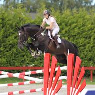 Dorthe F