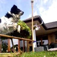 Putte - A Jumper :)