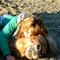 loves' sunny