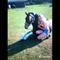 Malene N