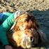 loves' sunny