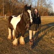 Heste elskeren:)