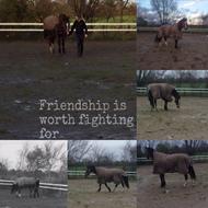 Cecilie H