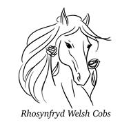 Rhosynfryd Welsh Cobs