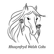 Rhosynfryd Welsh Cobs