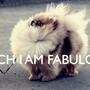 Fabulous Me <3