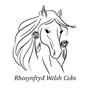 Rhosynfryd Welsh Cobs