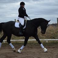 Kathrine N T