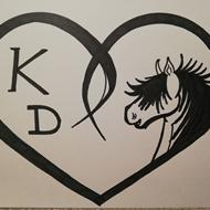 My Horse Life