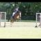 NN_dressage