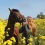 Emilija Danovic & Diamond Chagall