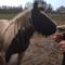 Rikke Sofie S