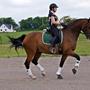 Hanne B