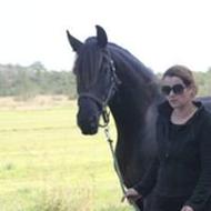 Lisbeth J