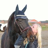 Ditte og Bailey