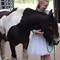 Cecilie H