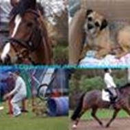 Christine Andersen (Maritza <3)  A