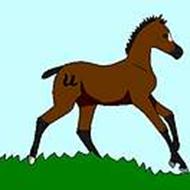 My Chemical Romance |