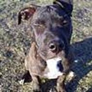 denise*team rodebutik* ¤