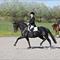 Anna-Cecilie D