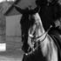Maria Friis - -