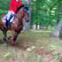 Sidse L