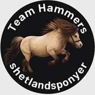 Team Hammers shetlandsponyer 