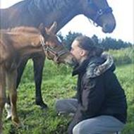 °º•¤.søger ride hest.¤•º°
