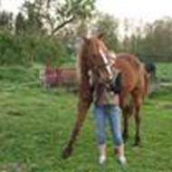 Margrethe & Bastian. .