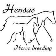 Hensas - Horse Breeding