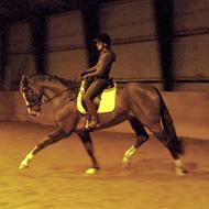 Malene * Stald Grønskovlund*