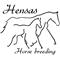 Hensas - Horse Breeding