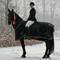 S. Birkmose Dressage