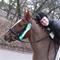Lundemarksgaards Copyright h