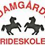 Team-Damgård !