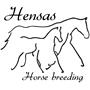 Hensas - Horse Breeding