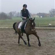 NannaHolmgaard&SerlockSøblink .