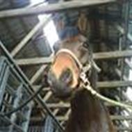 Monark, du er vidunderlig!<3 D