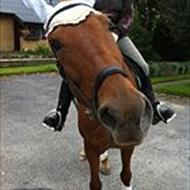 Lena S *Team TWH*  .