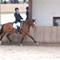 Pernille Rieks J