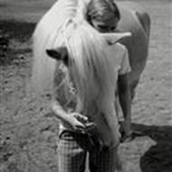 Mette'Donslund - jeg elsker heste!<3  S
