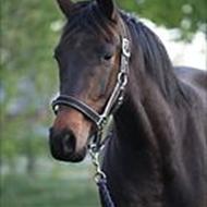 Sødovergård heste station .