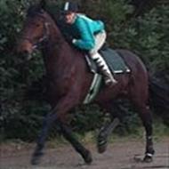 100 % TRAVTOSSEDE < 3