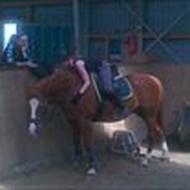 Louise & Agertoft's Chakira