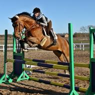 Mai&Verona- R.I.P Daisy&Corona