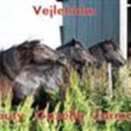 Vejleholm *