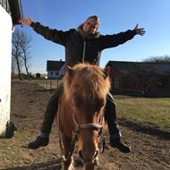 Holistiske hest