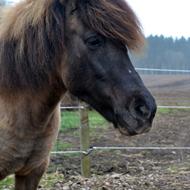 |Camilla Budde Jensen|