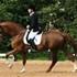 PV Dressage